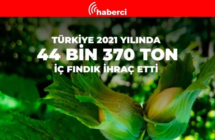 türki̇ye 2021 yilinda 344 bi̇n 370 ton i̇ç findik i̇hraç etti̇