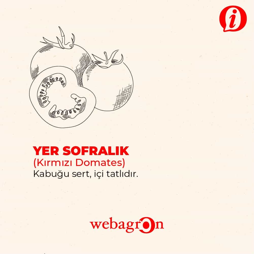 Yer Sofralık (Kırmızı) Domates