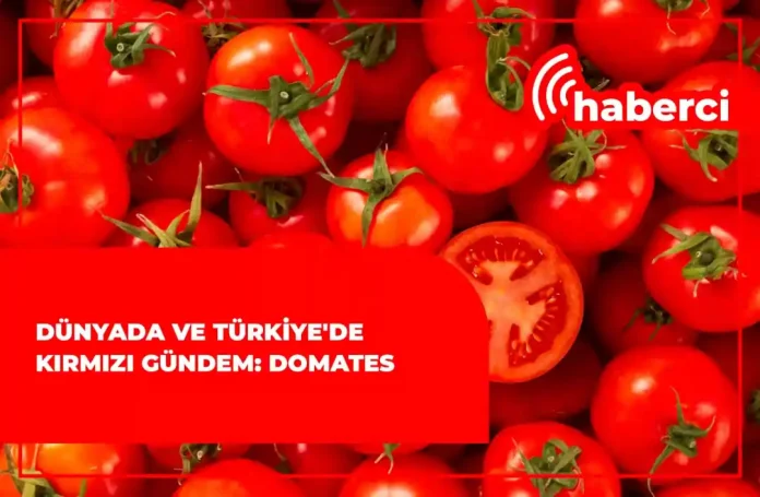 Dünyada ve Türkiye'de kırmızı gündem domates