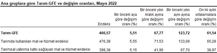 Ana gruplara göre Tarım-GFE ve değişim oranları, Mayıs 2022