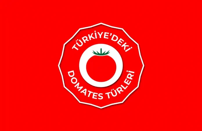 Türkiye'deki domates çeşitleri