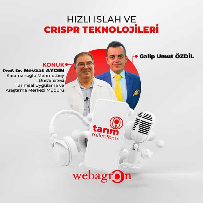 Bitki ıslahı ve CRISPR teknolojisi