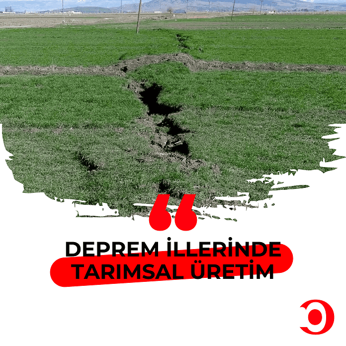 deprem illerinde tarımsal üretim
