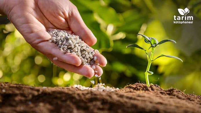 Gübre çeşitleri ile doğru gübreleme nasıl yapılır?