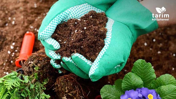 Gübre nedir, gübreleme nasıl yapılır?