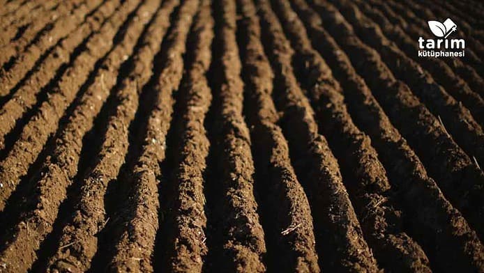 Nadas nedir, tarlayı nadasa bırakmak ne demek