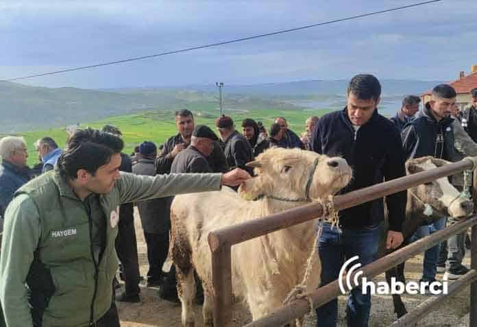Yozgat'ta şap tedbirleri devam ediyor