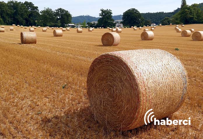 bugday-hasadi-sonrasi-balya-mesaisi-basladi buğday hasadı sonrası balya mesaisi başladı