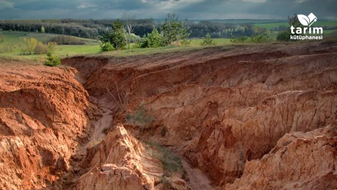Erozyon nedir? Tarımı nasıl etkiler