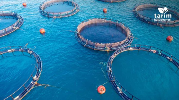 Su ürünleri yetiştiriciliği