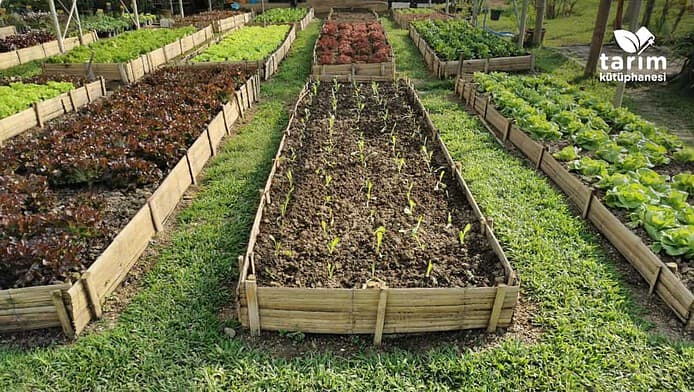 biyogubre biyogubre nedir