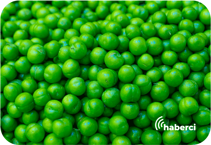 Eriğin tanesi 20 TL'den satılıyor.