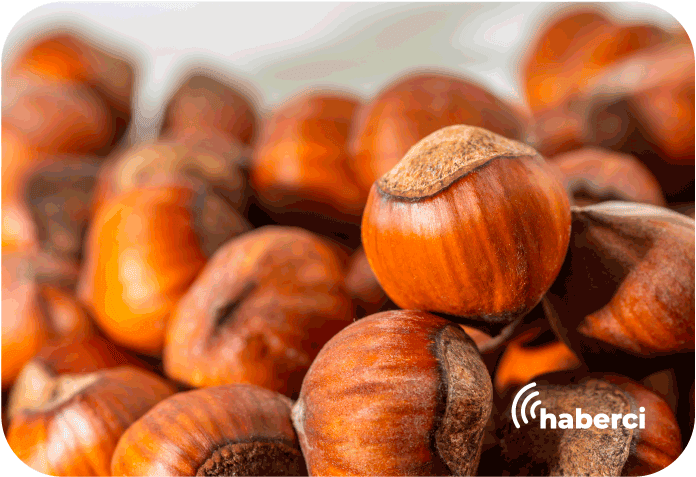 Fındıkta kalite ve gelir