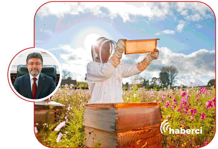 türkiye arıcılık haritası