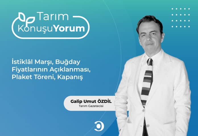 buğday fiyatları
