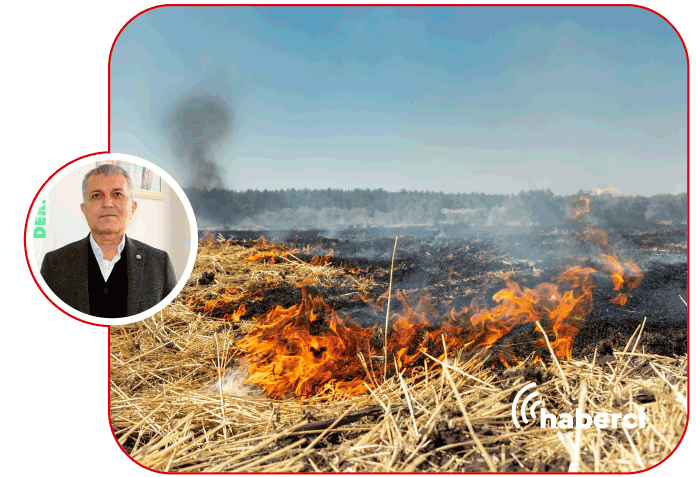 buğday ekili alan yandı