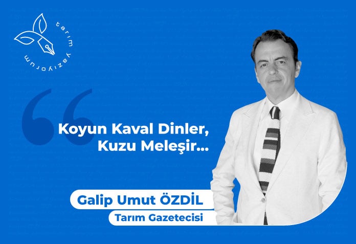 koyun kaval dinler kuzu meleşir