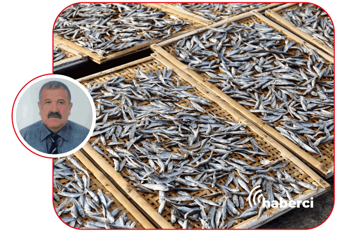 hamsi altınla yarışacak