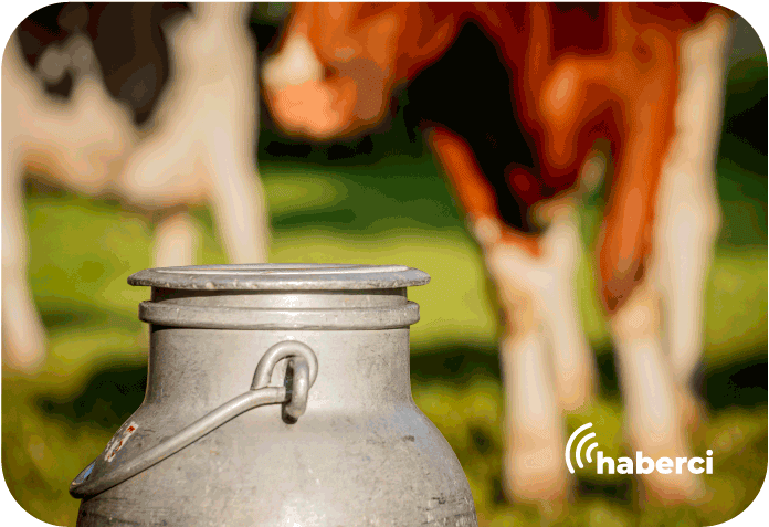 ekipman desteğiyle süt üretimi arttı