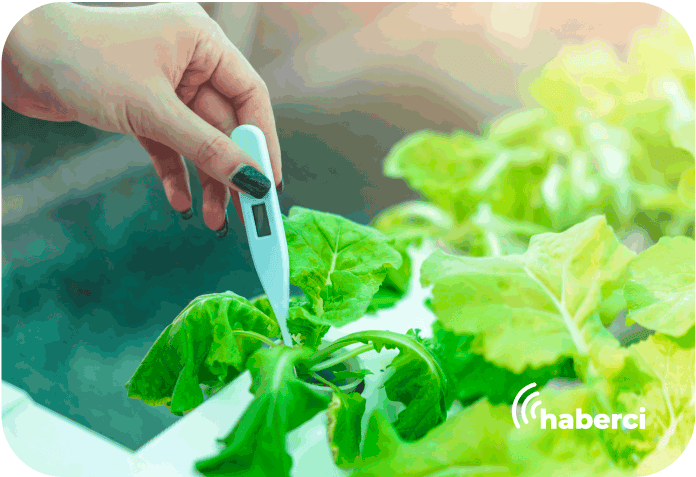 bitki genetiğini değiştiren sıcaklıklar