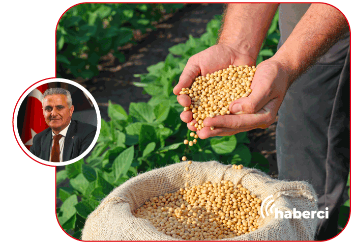 yeni destekleme modeli