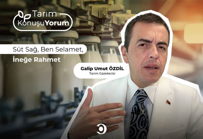 süt sağ, ben selamet, ineğe rahmet