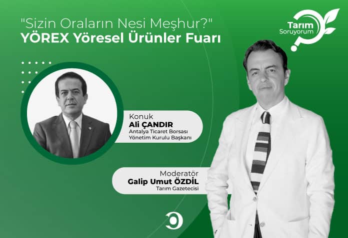 yörex yöresel ürünler fuarı