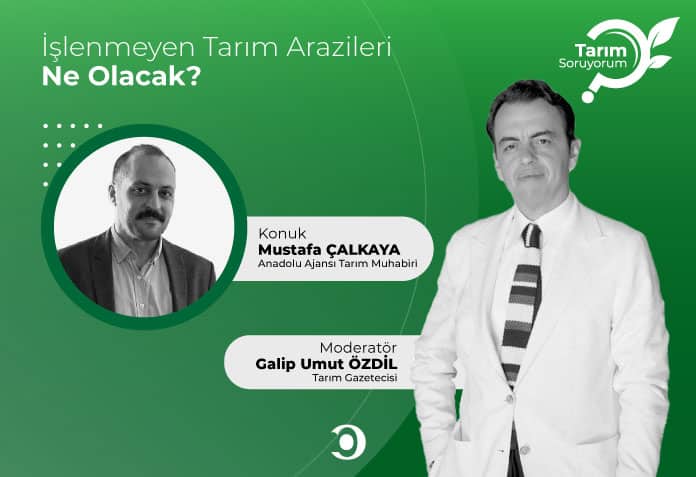 işlenmeyen tarım arazileri ne olacak