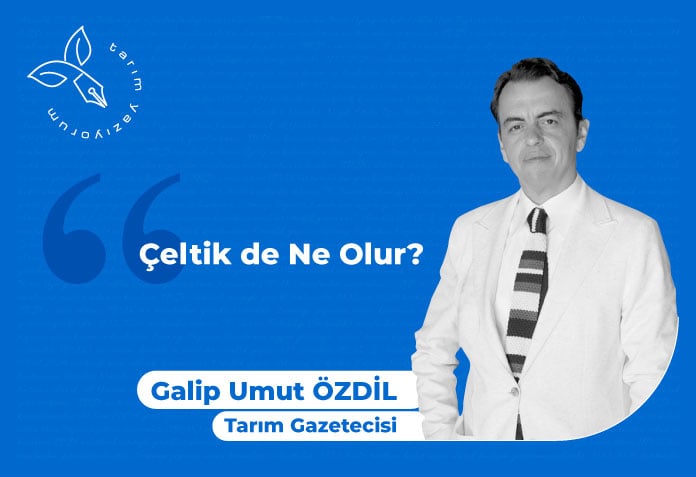 çeltik de ne olur?