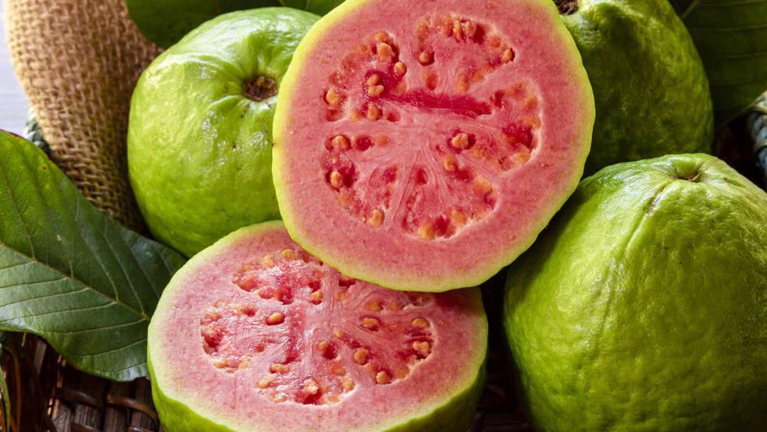 Guava