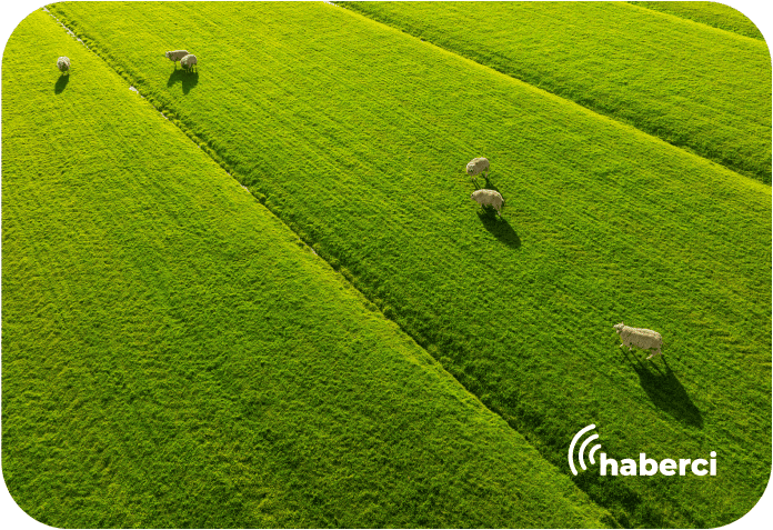 izmir ve çek cumhuriyeti tarımda ortak gelecek