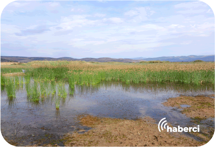 tarım alanına çeviren protokol iptal edildi