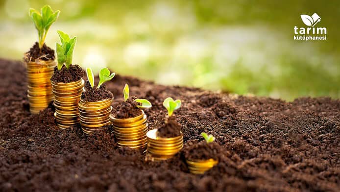Para kazandıran tarım ürünleri