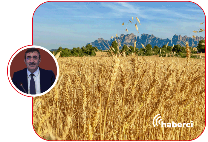 gap bölgesinde yatırım