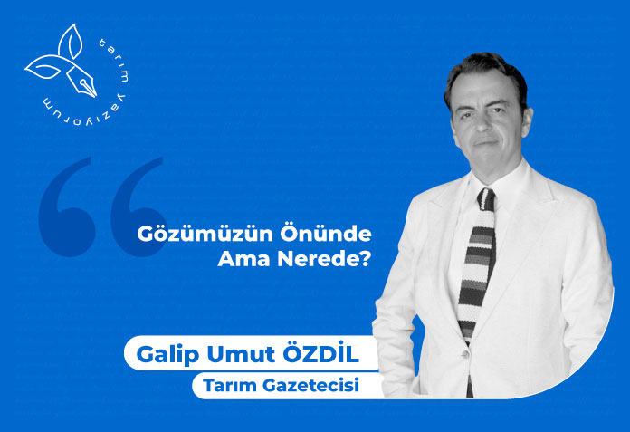 gözümüzün önünde ama nerede