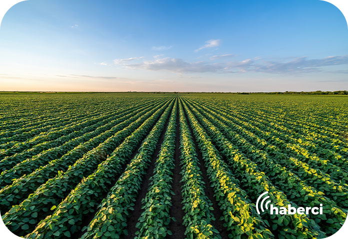 Çiftçilere sigorta destekleri
