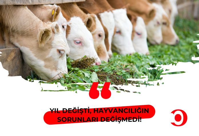 Hayvancılık sorunları