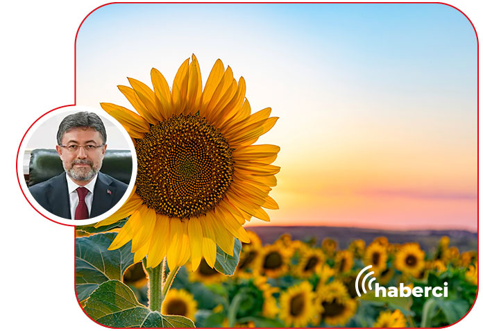 TARSİM sigorta destekleri