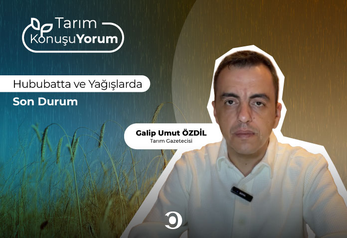 Hububatta ve Yağışlarda Son Durum