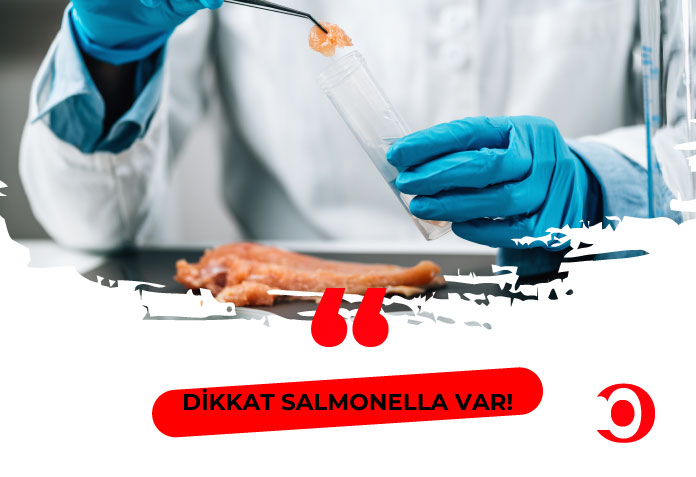 Salmonella tehlikesi
