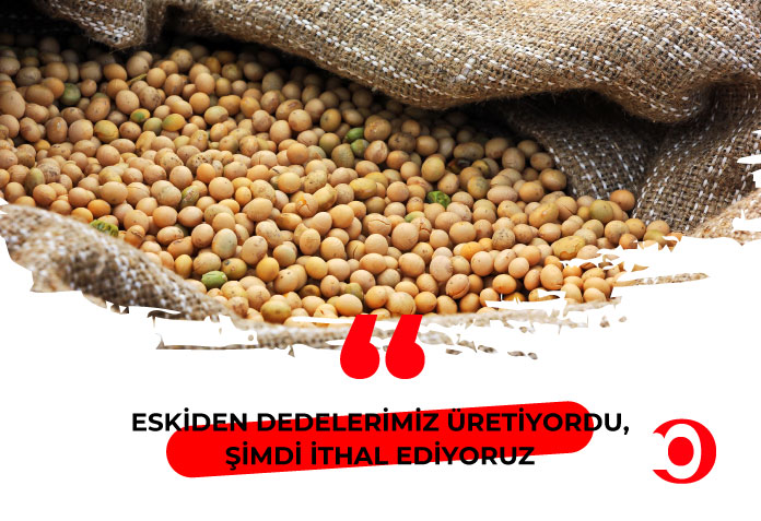 Dünya bakliyat günü