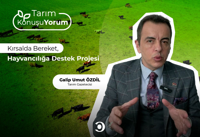 Kırsalda Bereket, hayvancılığa destek projesi