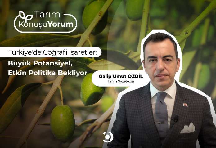 Türkiye'de coğrafi işaretler