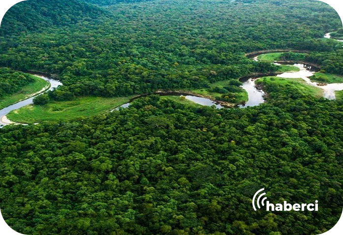 İklim zirvesi için amazon ormanları