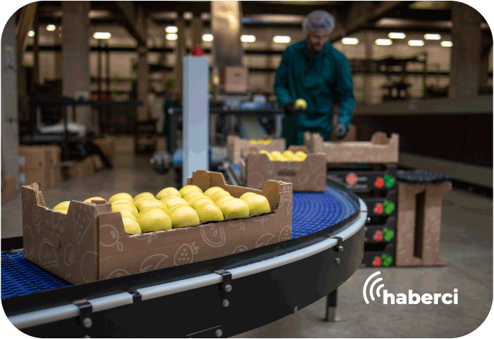 rusyanin-afrikaya-tarim-urunu-ihracati-yuzde-19-artti Rusya'nın Afrika'ya tarım ürünü ihracatı yüzde 19 arttı