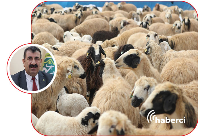 Hayvancılık destekleri başvuruları