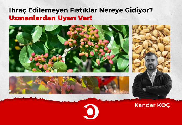 Aflatoksin - Kander Koç