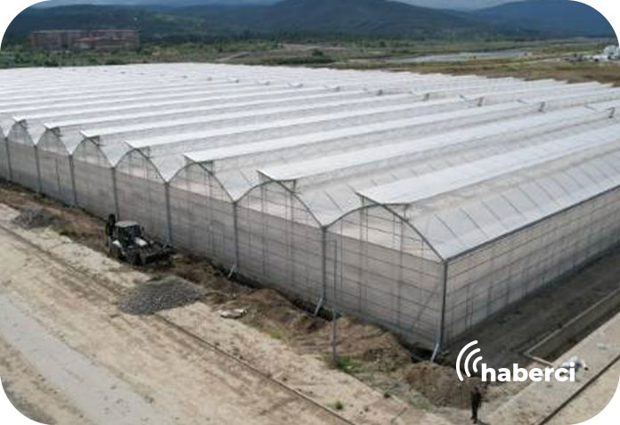 Caycuma OSB'de sürdürülebilir modern tarım yapılıyor