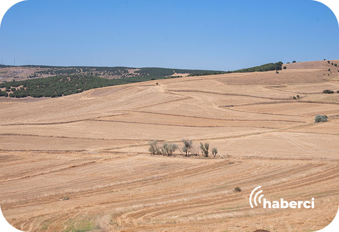 Kuraklık Düzceli üreticiyi endişelendiriyor