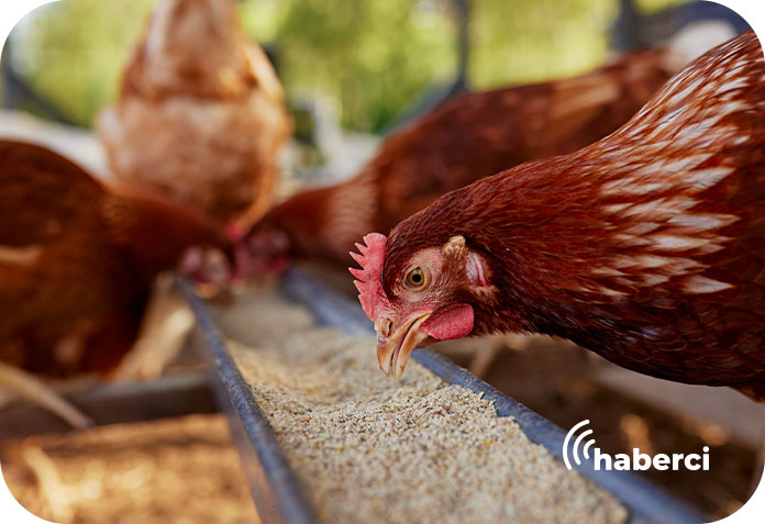 Üreticiye yerelde destek